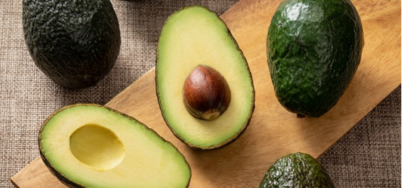 아보카도 사진