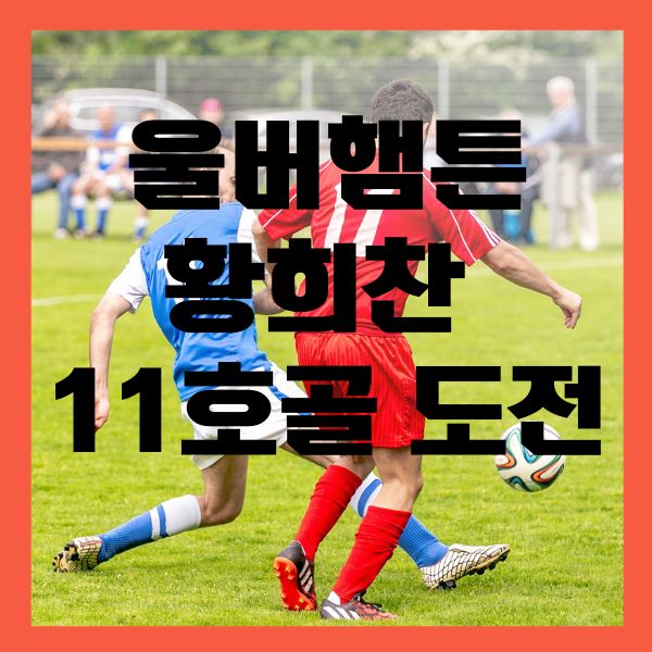 황희찬 11호골