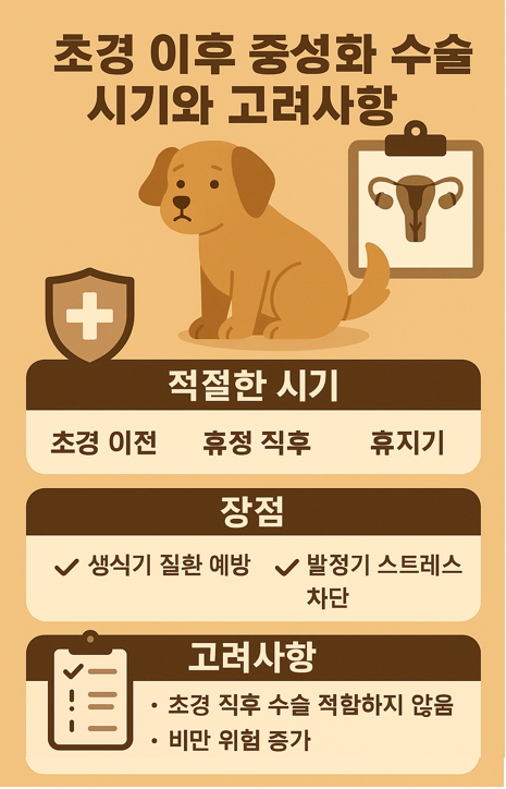 중성화 수술 시기와 고려사항 이미지