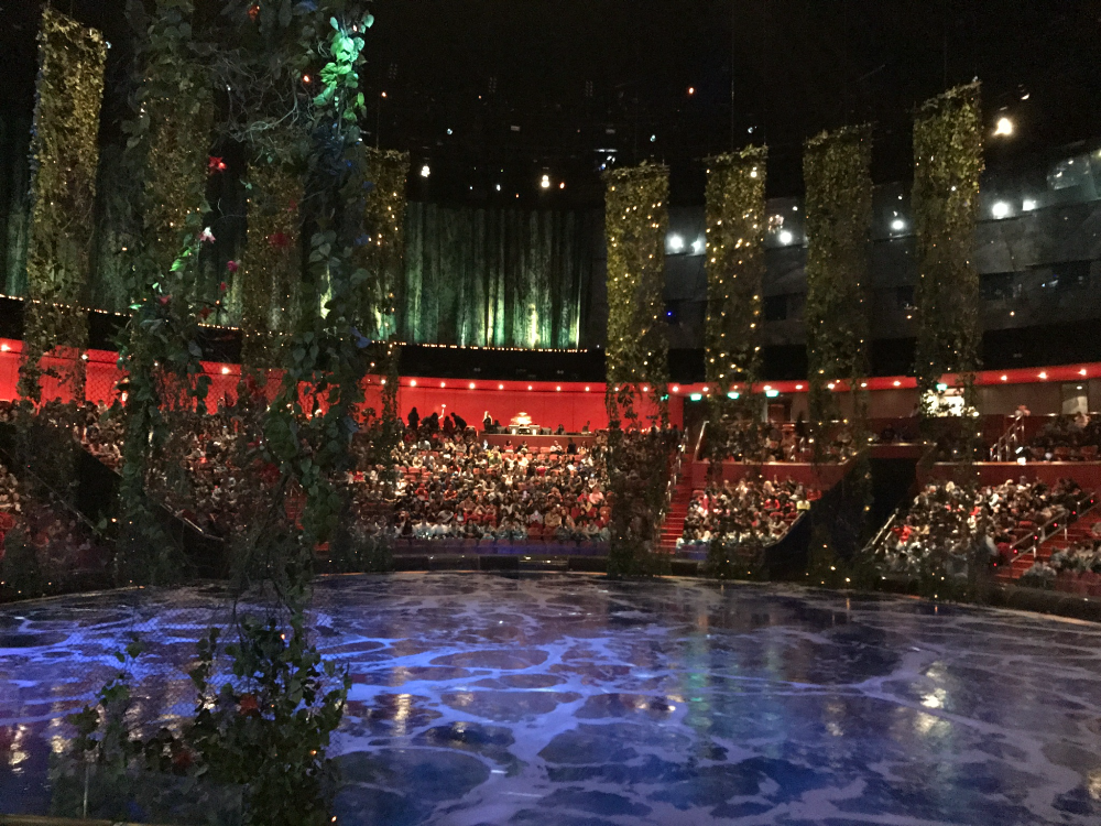 하우스 오브 댄싱 워터쇼 무대