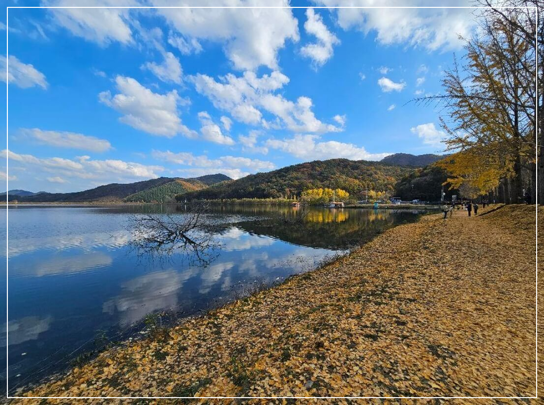 괴산 가볼만한곳 베스트10 문광저수지 뚝방길