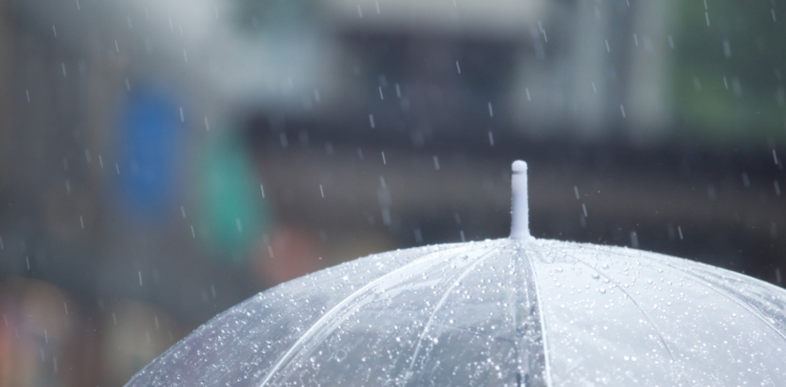 비내리는날-장우산추천