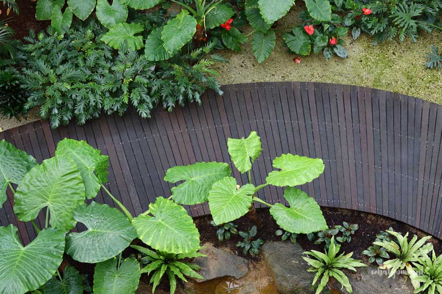 서울식물원 완벽 가이드: 온실