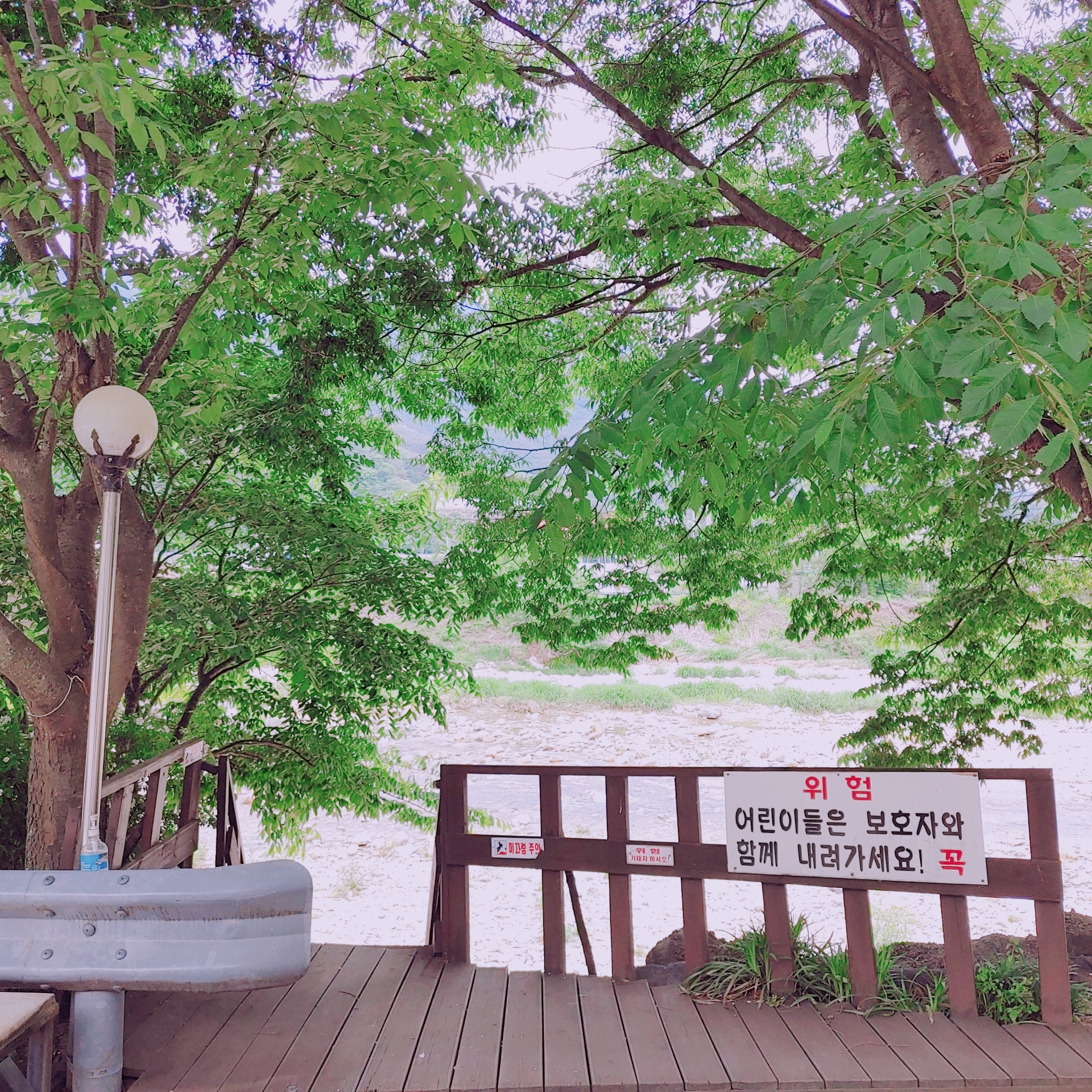 강가로 내려가는 길