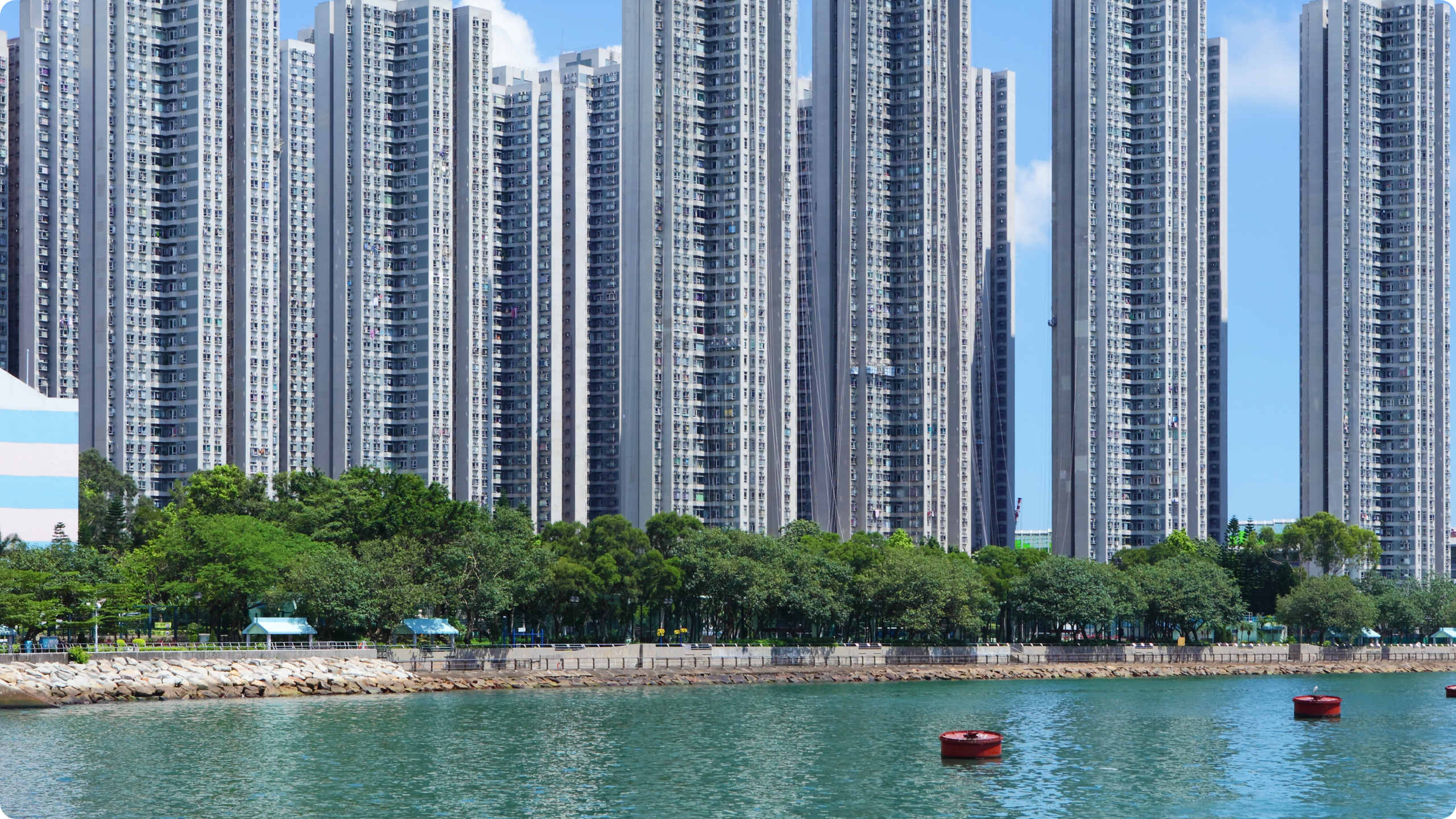 동탄의 시장흐름