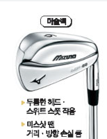 골프 머슬백 아이언