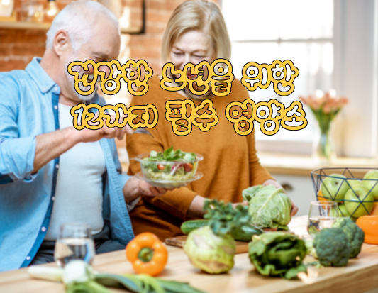 건강한 노년을 위한 12가지 필수 영양소