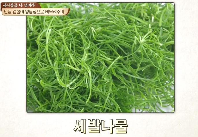 봄 제철 나물