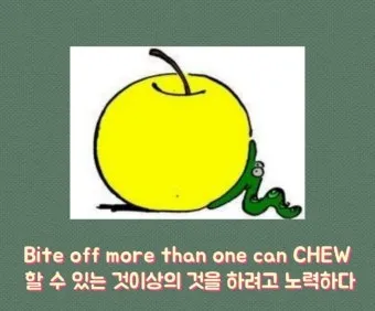 배보다 배꼽이 더 크다 뜻과 영어 속담 표현 안내집_5