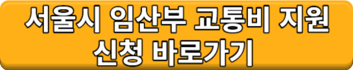 서울맘케어 서울시 임산부 교통비 지원사업