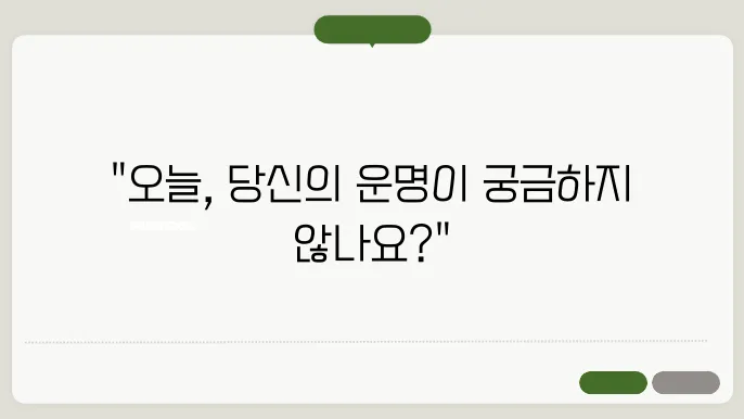각 띠별 오늘의 운세 무료보기