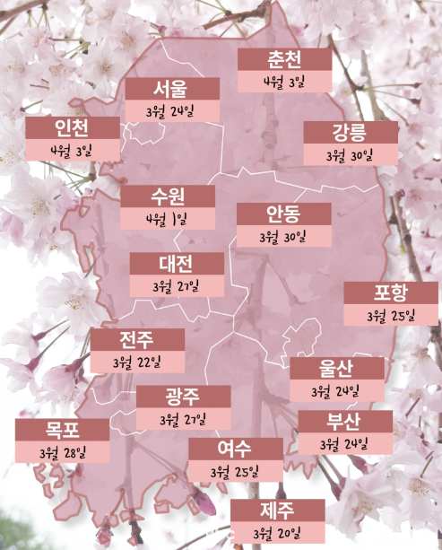 2024년 경상도와 부산 벚꽃 개화 일정