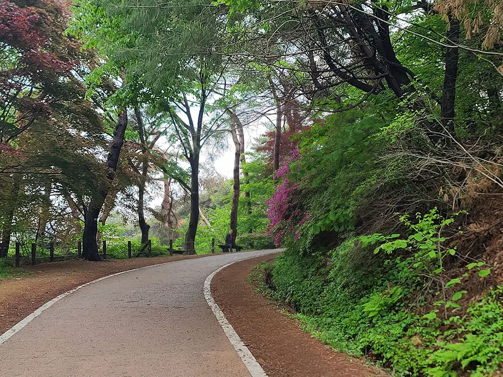 봄에 진달래가 핀 남한산성 둘레길
