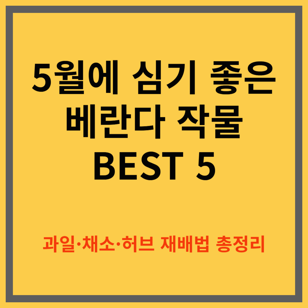 5월에 심기 좋은 베란다 작물 추천 BEST 5