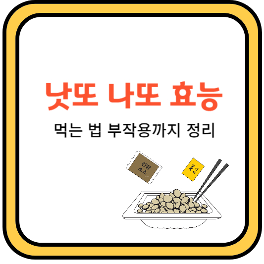 낫또의 효능