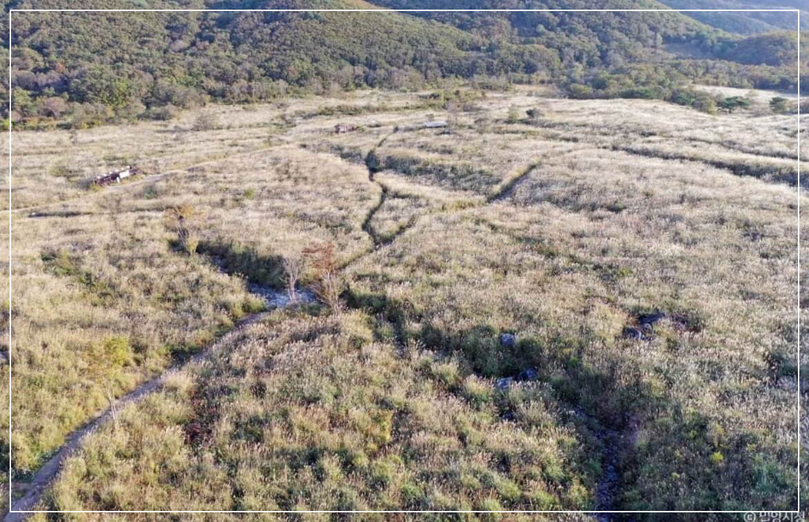 밀양 가볼만한곳 베스트10 사자평 억새평원