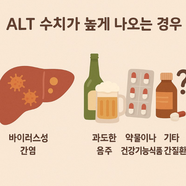 ALT수치가 높게 나오는경우