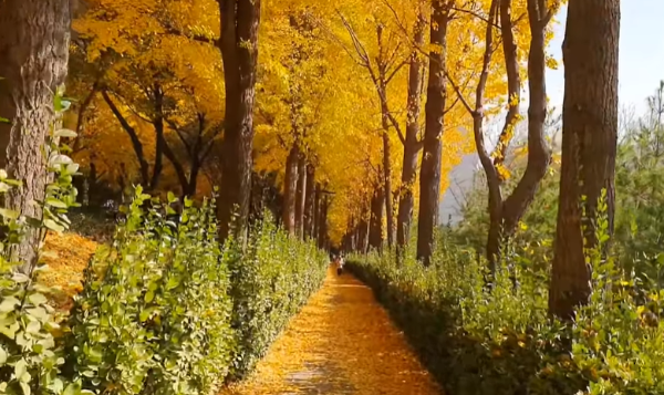 나만알고싶은여행지