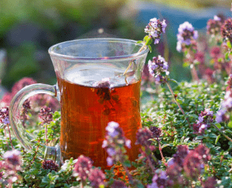 우엉차 효능 10가지 및 부작용