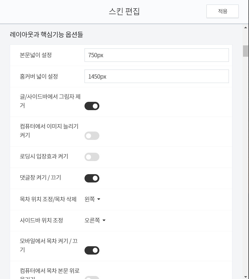 스킨 편집 옵션