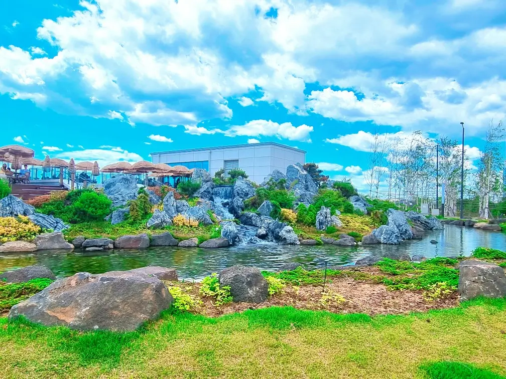 인천 송도 바다 앞 인천대교, 오션뷰 애견동반 카페 가볼만한 곳 : 롱비치커피앤브레드