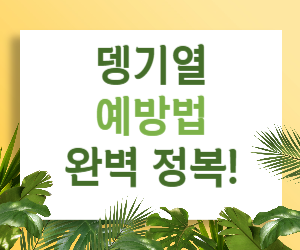 뎅기열 예방법 완벽 정복! 여름 휴가 안전하게 즐기는 꿀팁 대방출