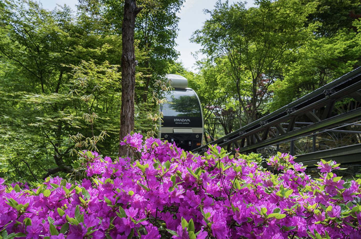 화담숲 화담채 모노레일 사전 예약&amp;#44; 할인받고 예매 하기