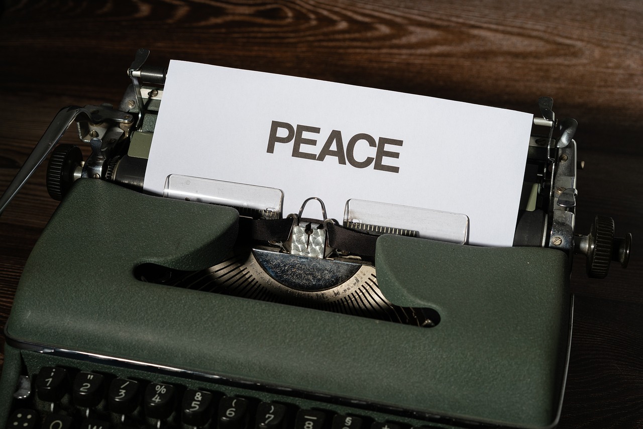 고사성어 일모불발 一毛不拔 위아설 열자 양주 맹자 진심상 인권 human right