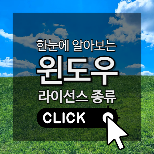 한눈에 알아보는 윈도우 라이선스 종류 썸네일