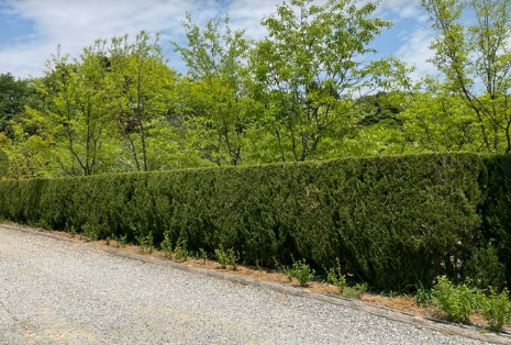 파이브이모션 캠핑장 B존