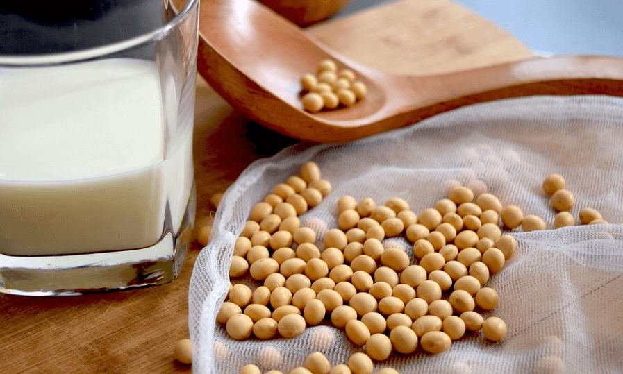 두유 효능은 콜레스트롤 억제에 좋다 콩과 두유가 놓여 있다
