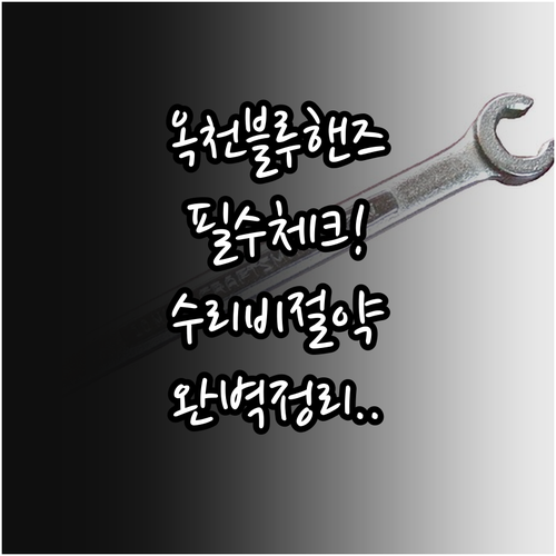 현대자동차 블루핸즈 옥천점 옥천중앙점..