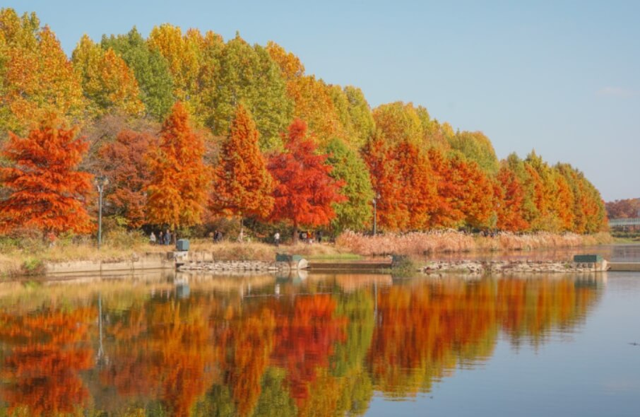 2024년 가을 단풍시기 (출처 : 한국관광공사)