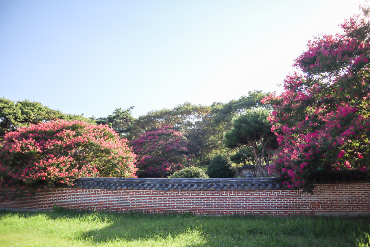 정읍 가볼만한곳 베스트10