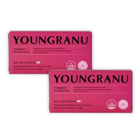 영라뉴장영란장용성파비플로라프로