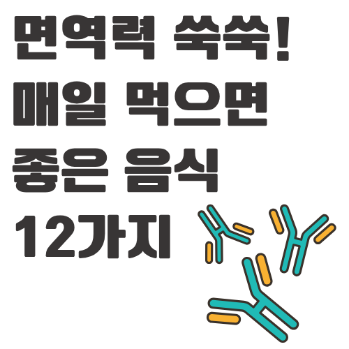 면역력 쑥쑥! 매일 먹으면 좋은 음식 12가지