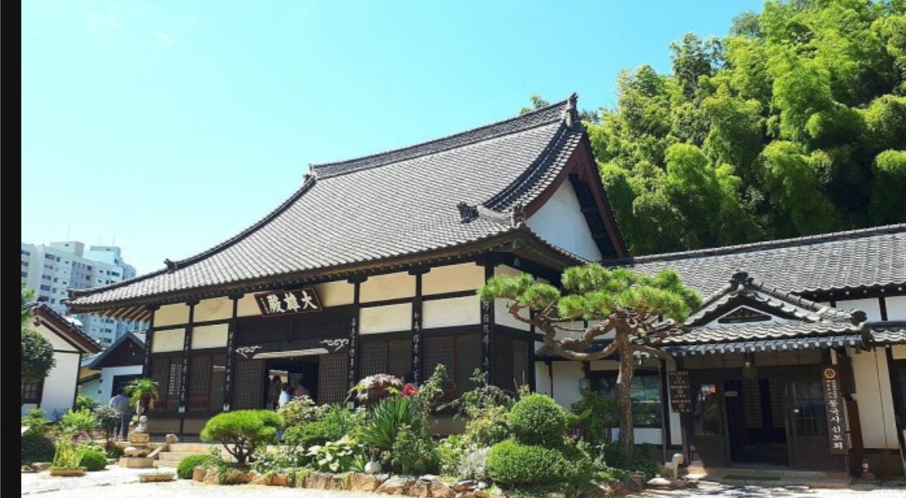 군산 동국사 사진