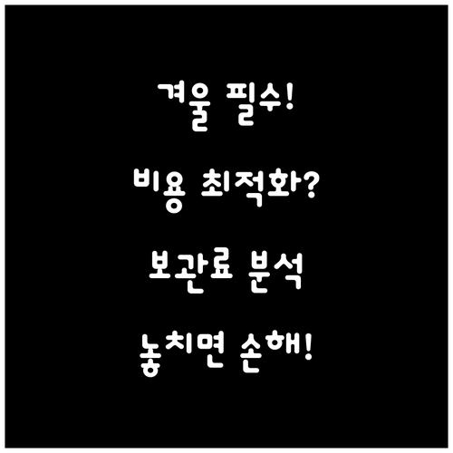 겨울 타이어 교체 비용 최적화 전략 ..