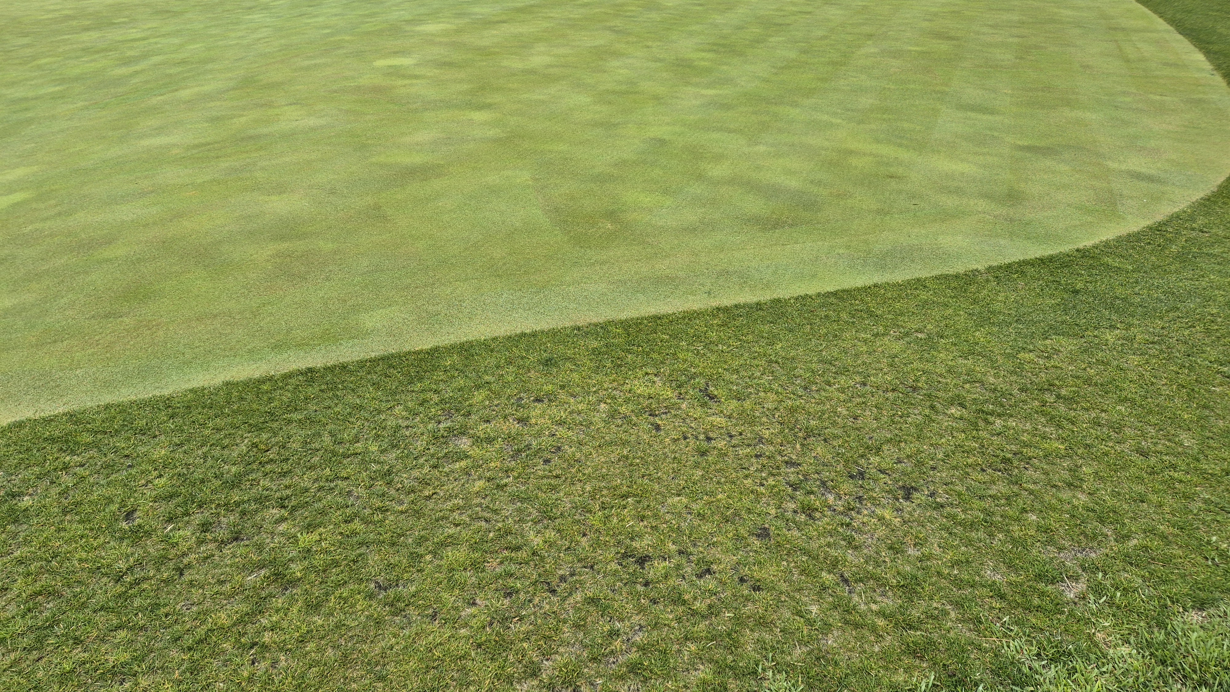 엘리시안 강촌cc 라운드 후기