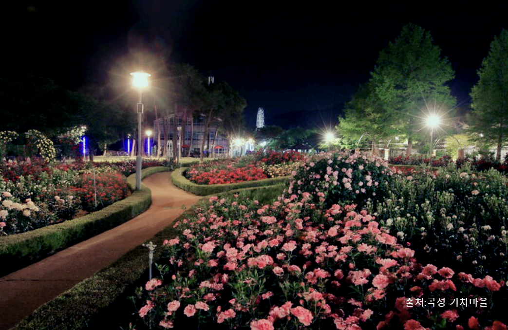 곡성 기차마을 세계 장미 축제