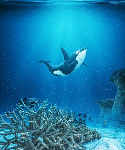 극한 환경에서의 생존: 해저 거주자의 혹독한 생활 조건