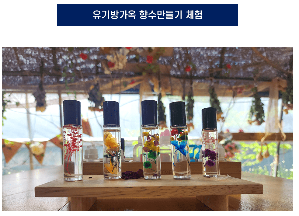 봄꽃여행지추천 4월 충청지역여행지추천