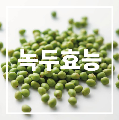 녹두 효능