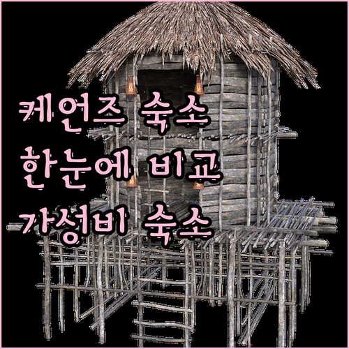 케언스 숙소 완벽 분석 리틀 드리프터