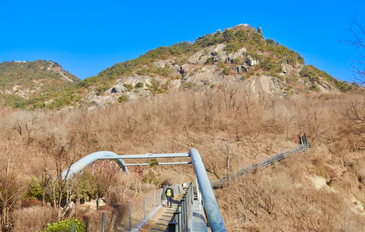 서울 안산자락길 출렁다리