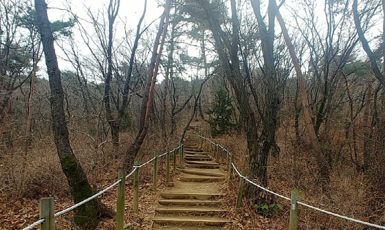 청계산 등산지도