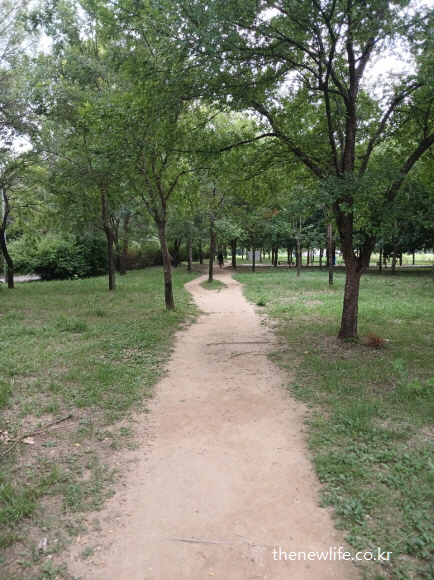 광나루 한강공원의 긴 맨발 걷기 좋은 장소 &ndash; 부드러운 곡선형 서울 맨발 걷기 좋은 흙길