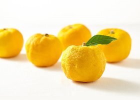 목에 좋은 음식