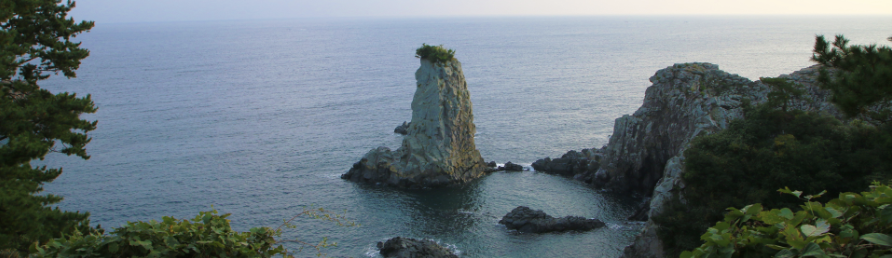 제주 여행 2박3일 추천코스(자유여행)