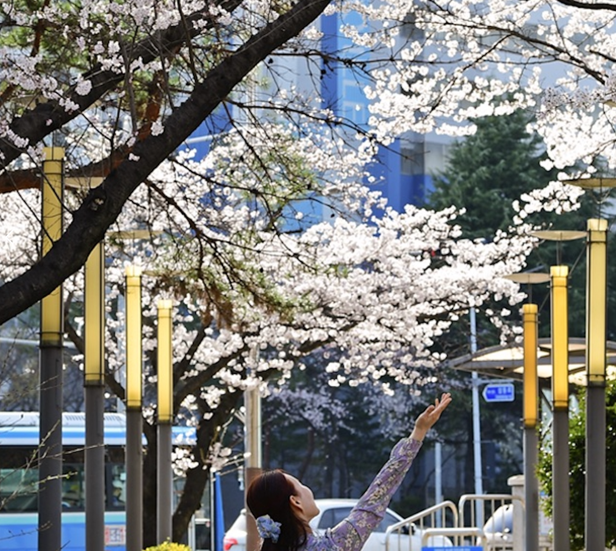 진해 가볼만한곳 베스트10